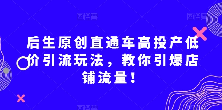 后生原创直通车高投产低价引流玩法，教你引爆店铺流量！-小鸿资源库
