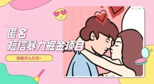 全网首发，揭秘超冷门匿名短信项目，通过信息差日入几百+【揭秘】-小鸿资源库