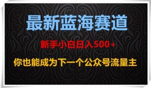 最新蓝海赛道，新手小白日入500+，你也能成为下一个公众号流量主【揭秘】-小鸿资源库