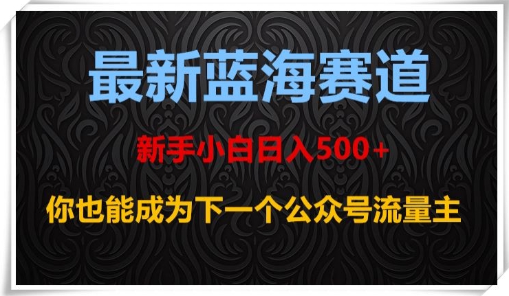 最新蓝海赛道，新手小白日入500+，你也能成为下一个公众号流量主【揭秘】-小鸿资源库