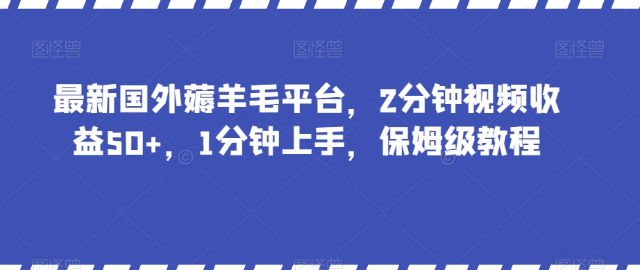 最新国外薅羊毛平台，2分钟视频收益50+，1分钟上手，保姆级教程【揭秘】-小鸿资源库