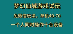 梦幻仙域游戏试玩，免微信玩法，单机40-70，一个人同时操作十台设备【揭秘】-小鸿资源库