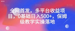 全网首发，多平台收益项目，0基础日入500+，保姆级教学实操落地【揭秘】-小鸿资源库