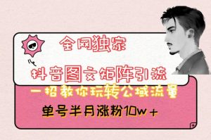 全网独家抖音图文矩阵引流，一招教你玩转公域流量，单号半月涨粉10w+【揭秘】-小鸿资源库