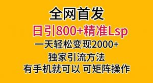 全网首发！日引800+精准老色批，一天变现2000+，独家引流方法，可矩阵操作【揭秘】-小鸿资源库