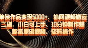 单条作品变现5000+、外网视频搬运二创，小白可上手，10分钟制作爆款高原创视频，矩阵操作【揭秘】-小鸿资源库