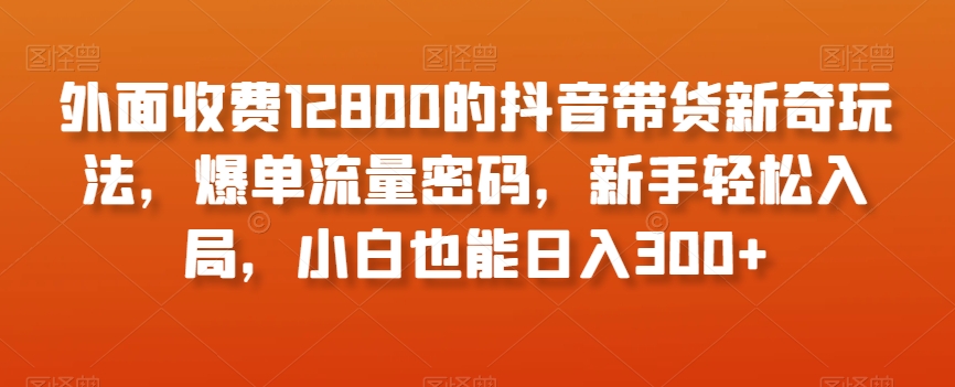 外面收费12800的抖音带货新奇玩法，爆单流量密码，新手轻松入局，小白也能日入300+【揭秘】-小鸿资源库