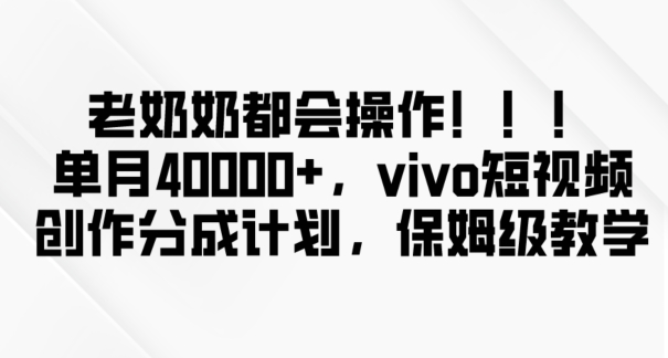 老奶奶都会操作，新平台无脑操作，单月40000+，vivo短视频创作分成计划【揭秘】-小鸿资源库