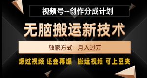 视频号无脑搬运新技术，破原创壕流量，独家方式，爆过视频，还会再爆【揭秘】-小鸿资源库