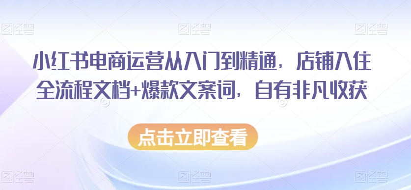 小红书电商运营从入门到精通,店铺入住全流程文档+爆款文案词,自有非凡收获-小鸿资源库