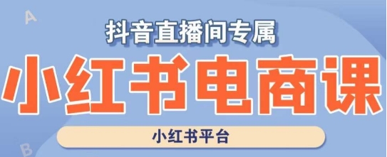 小红书电商高级运营课程，实操教学+案例分析-小鸿资源库