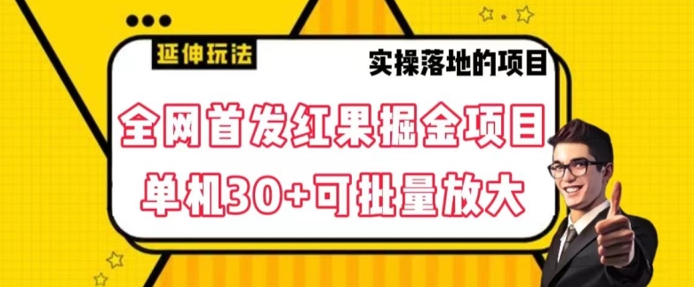 全网首发红果免费短剧掘金项目，单机30+可批量放大【揭秘】-小鸿资源库