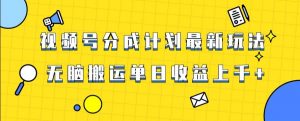 视频号最新爆火赛道玩法，只需无脑搬运，轻松过原创，单日收益上千【揭秘】-小鸿资源库