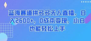 蓝海赛道拼多多无人直播，日入2600+，0成本变现，小白也能轻松上手【揭秘】-小鸿资源库