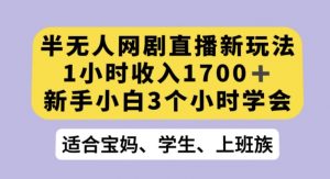 半无人网剧直播新玩法，1小时收入1700+，新手小白3小时学会【揭秘】-小鸿资源库