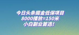 今日头条掘金低保项目，8000播放=150米，小白副业首选【揭秘】-小鸿资源库