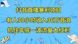 抖音直播暴利项目，有人30小时收入36万音浪，公司宣传片年会视频制作，抓住年底一波流量大红利【揭秘】-小鸿资源库