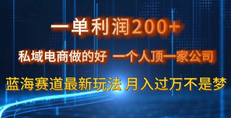 一单利润200私域电商做的好，一个人顶一家公司蓝海赛道最新玩法【揭秘】-小鸿资源库