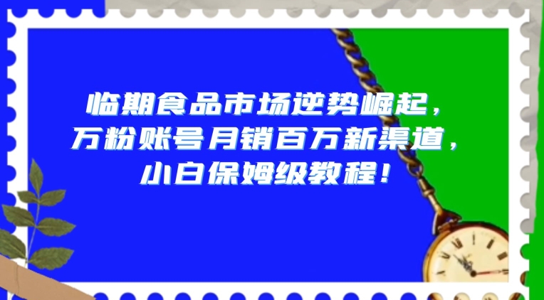 临期食品市场逆势崛起，万粉账号月销百万新渠道，小白保姆级教程【揭秘】-小鸿资源库