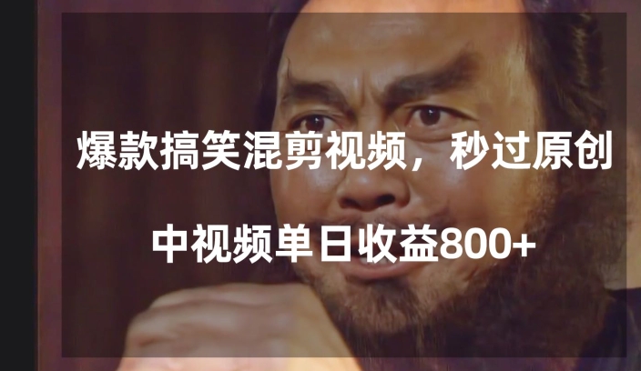 爆款搞笑混剪视频，百分百过原创，单日中视频播放收益800+【揭秘】-小鸿资源库