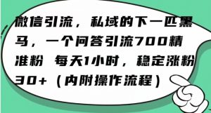 怎么搞精准创业粉?微信新赛道,每天一小时,利用Ai一个问答日引100精准粉-小鸿资源库