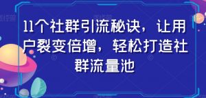 11个社群引流秘诀，让用户裂变倍增，轻松打造社群流量池-小鸿资源库