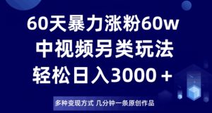 60天暴力涨粉60W，中视频另类玩法，日入3000＋，几分钟一条原创作品多种变现方式-小鸿资源库
