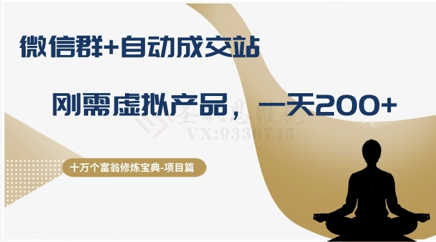 十万个富翁修炼宝典之8.微信群+自动成交站，刚需虚拟产品，一天200+-小鸿资源库