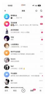 蓝海项目，靠单身经济月入过万，一部手机即可操作，小白首选副业【揭秘】-小鸿资源库