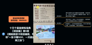 十万个富翁修炼宝典之5.揭秘旅游卡项目骗局，号称“一张卡赚500，一天能卖两三张”-小鸿资源库