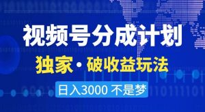视频号分成计划，独家·破收益玩法，日入3000不是梦【揭秘】-小鸿资源库