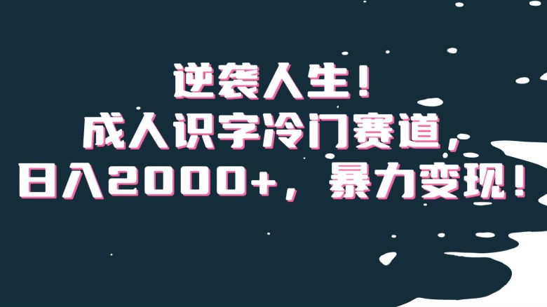逆袭人生!成人识字冷门赛道,日入2000+,暴力变现!【揭秘】-小鸿资源库