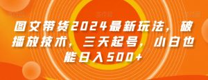 图文带货2024最新玩法，破播放技术，三天起号，小白也能日入500+【揭秘】-小鸿资源库