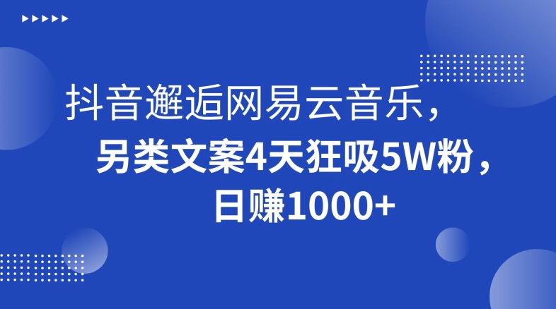 抖音邂逅网易云音乐，另类文案4天狂吸5W粉，日赚1000+【揭秘】-小鸿资源库