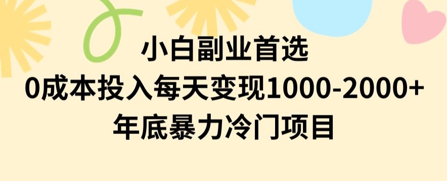 小白副业首选，0成本投入，每天变现1000-2000年底暴力冷门项目【揭秘】-小鸿资源库