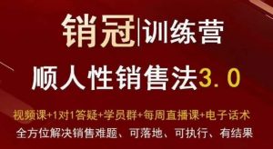 爆款!销冠训练营3.0之顺人性销售法,全方位解决销售难题、可落地、可执行、有结果-小鸿资源库