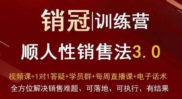 爆款!销冠训练营3.0之顺人性销售法,全方位解决销售难题、可落地、可执行、有结果-小鸿资源库