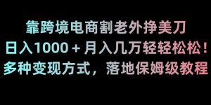 靠跨境电商割老外挣美刀，日入1000＋月入几万轻轻松松！多种变现方式，落地保姆级教程【揭秘】-小鸿资源库