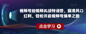 视频号短视频实战特训营，踩准风口红利，轻松开启视频号爆单之路-小鸿资源库