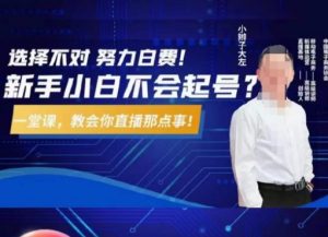 大左教您从0到1做直播带货，选择不对，努力白费，5小时课程搞定那点事，解决你起号问题-小鸿资源库