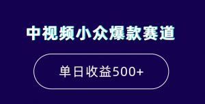 中视频小众爆款赛道，7天涨粉5万+，小白也能无脑操作，轻松月入上万【揭秘】-小鸿资源库