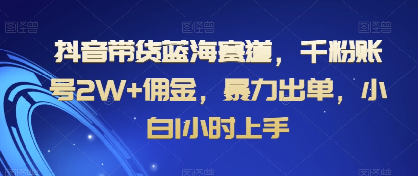 抖音带货蓝海赛道，千粉账号2W+佣金，暴力出单，小白1小时上手【揭秘】-小鸿资源库