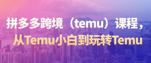 拼多多跨境（temu）课程，从Temu小白到玩转Temu-小鸿资源库