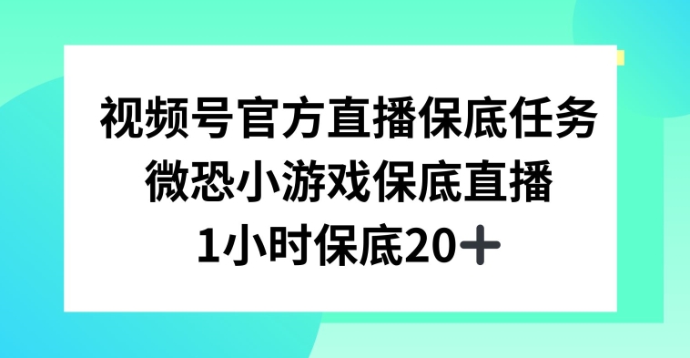 视频号直播任务，微恐小游戏，1小时20+【揭秘】-小鸿资源库