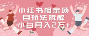 小红书相亲项目玩法拆解，有人通过这个副业项目做到了月收入2万多【揭秘】-小鸿资源库
