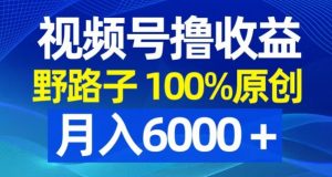 视频号野路子撸收益，100%原创，条条爆款，月入6000＋【揭秘】-小鸿资源库
