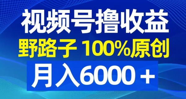 视频号野路子撸收益，100%原创，条条爆款，月入6000＋【揭秘】-小鸿资源库