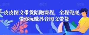 皮皮图文带货陪跑课程,全程兜底,带你玩赚抖音图文带货-小鸿资源库