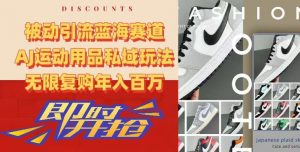 被动引流蓝海赛道，AJ运动用品私域玩法，无限复购年入百万【揭秘】-小鸿资源库