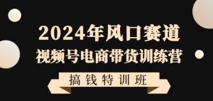 2024年风口赛道视频号电商带货训练营搞钱特训班,带领大家快速入局自媒体电商带货-小鸿资源库